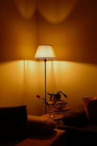resized_2154829